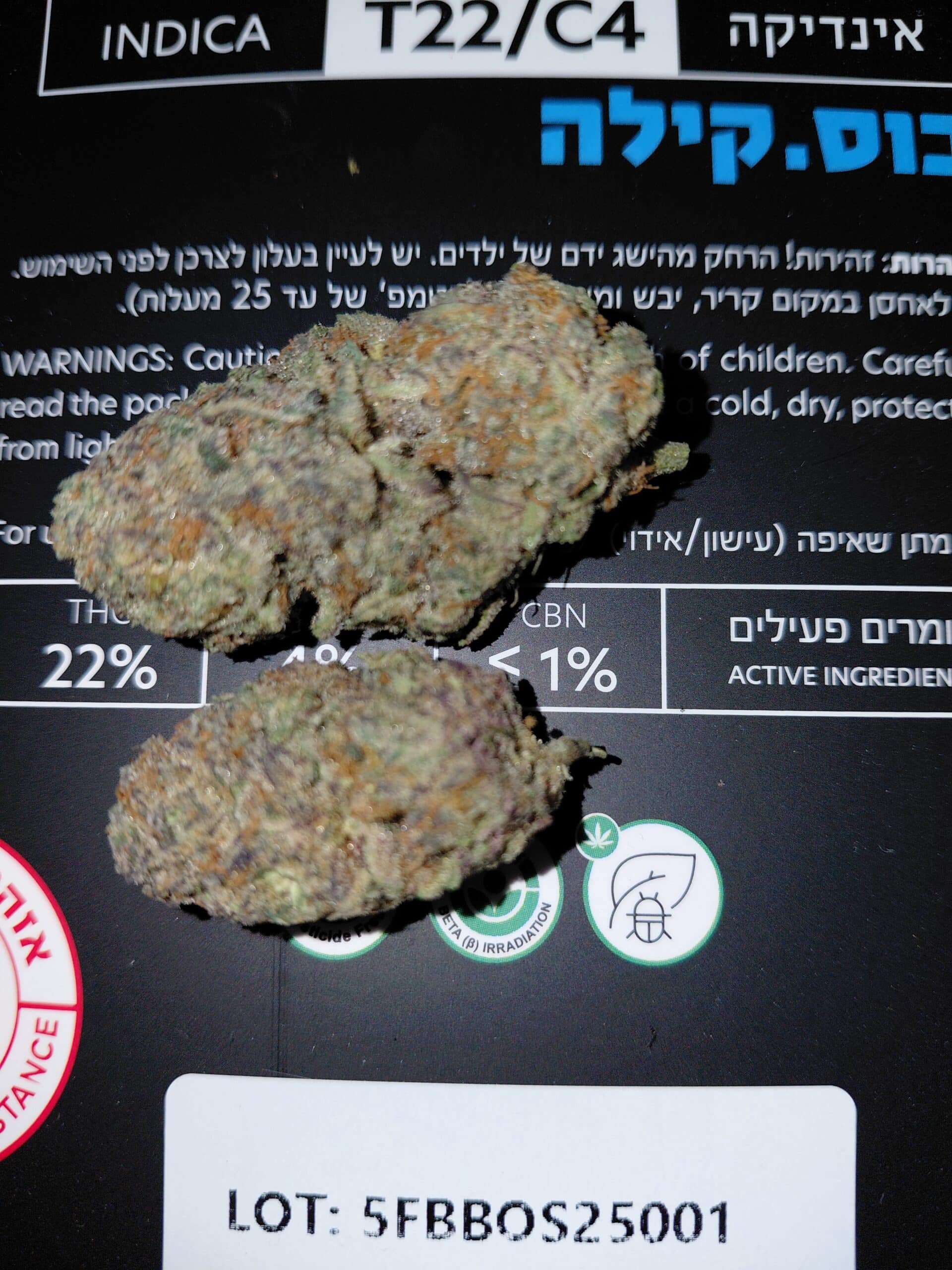 בוס.קילה (Boss.Killa) – אינדיקה T22/C4