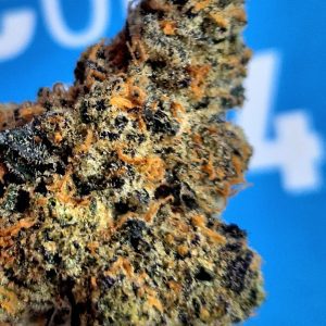 בוקוטי (Bucotti) – אינדיקה T22/C4