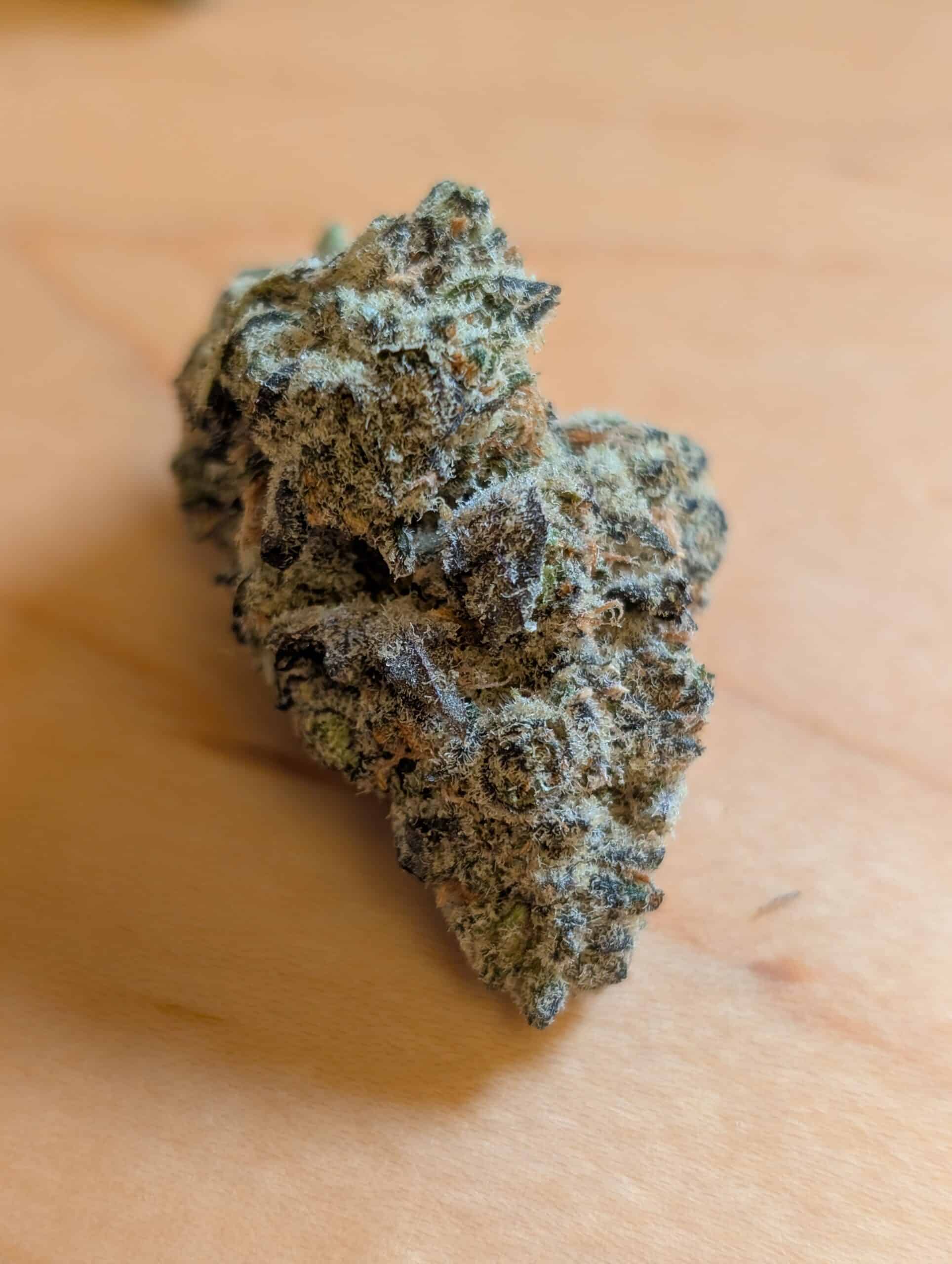 בי אל בי (B.L.B) – אינדיקה T22/C4