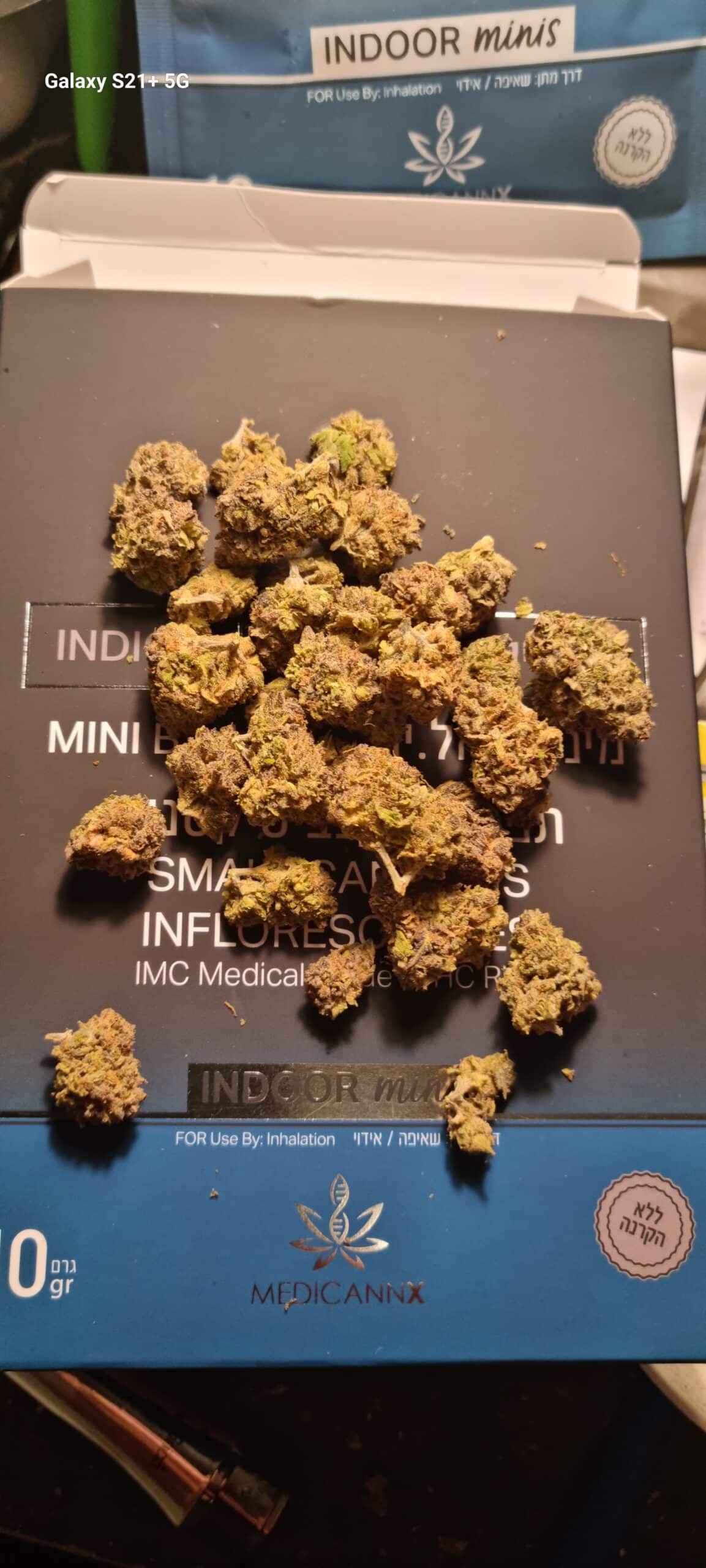 בי.אל.יו מיני (B.L.U Mini) – אינדיקה T22/C4