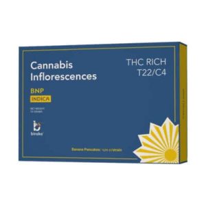 בי.אן.פי (BNP) – אינדיקה T22/C4