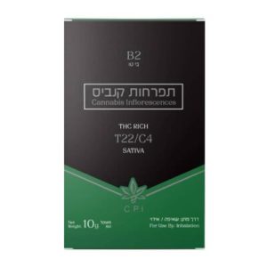 בי טו (B2) – סאטיבה T22/C4