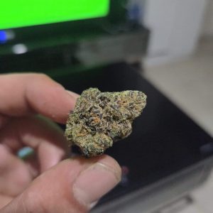 בי.יו.סי מארקר (B.U.C Marker) – אינדיקה T22/C4