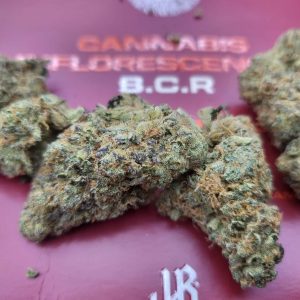 בי.סי.אר (B.C.R) – אינדיקה T22/C4