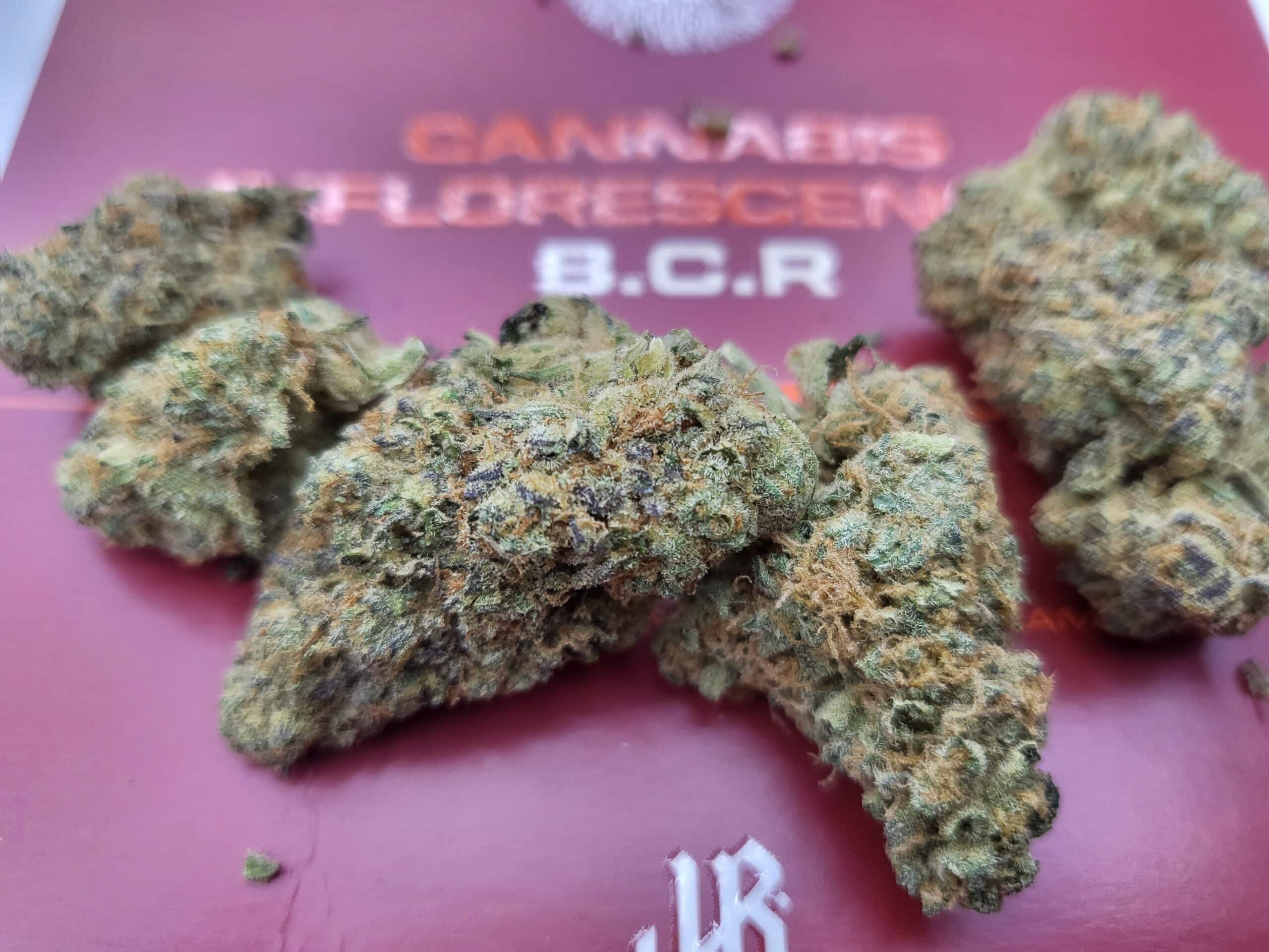 בי.סי.אר (B.C.R) – אינדיקה T22/C4