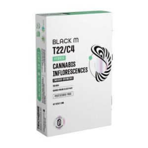 בלאק אם (Black M) – היבריד T22/C4