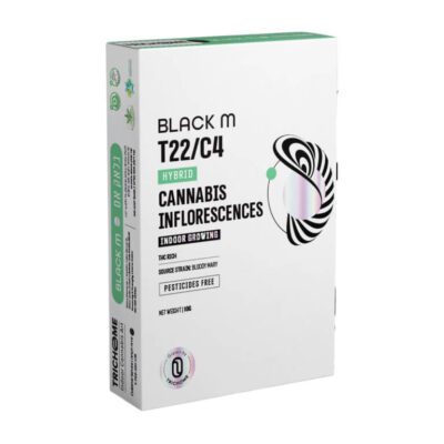 בלאק אם (Black M) – היבריד T22/C4