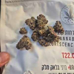 בלאק מלק מיני (BLK MLK Mini) – היבריד T22/C4