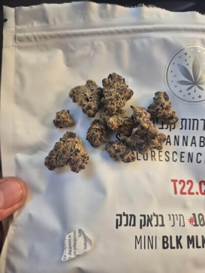 בלאק מלק מיני (BLK MLK Mini) – היבריד T22/C4