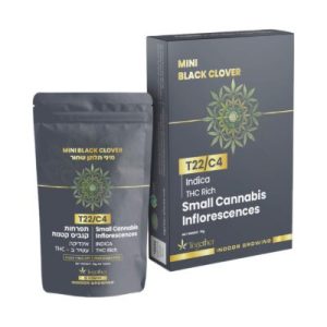 בלאק קלובר תלתן שחור מיני (Black Clover Mini) – אינדיקה T22/C4