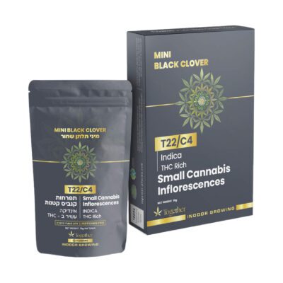 בלאק קלובר תלתן שחור מיני (Black Clover Mini) – אינדיקה T22/C4