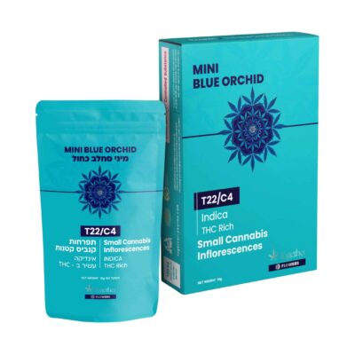 בלו אורכיד מיני (Blue Orchid Mini) – אינדיקה T22/C4
