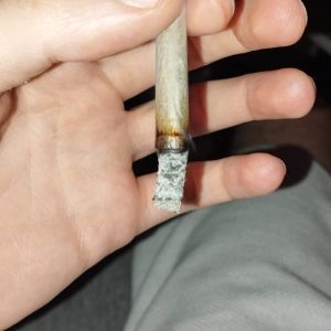 בלושי (Blueshi) – אינדיקה T22/C4