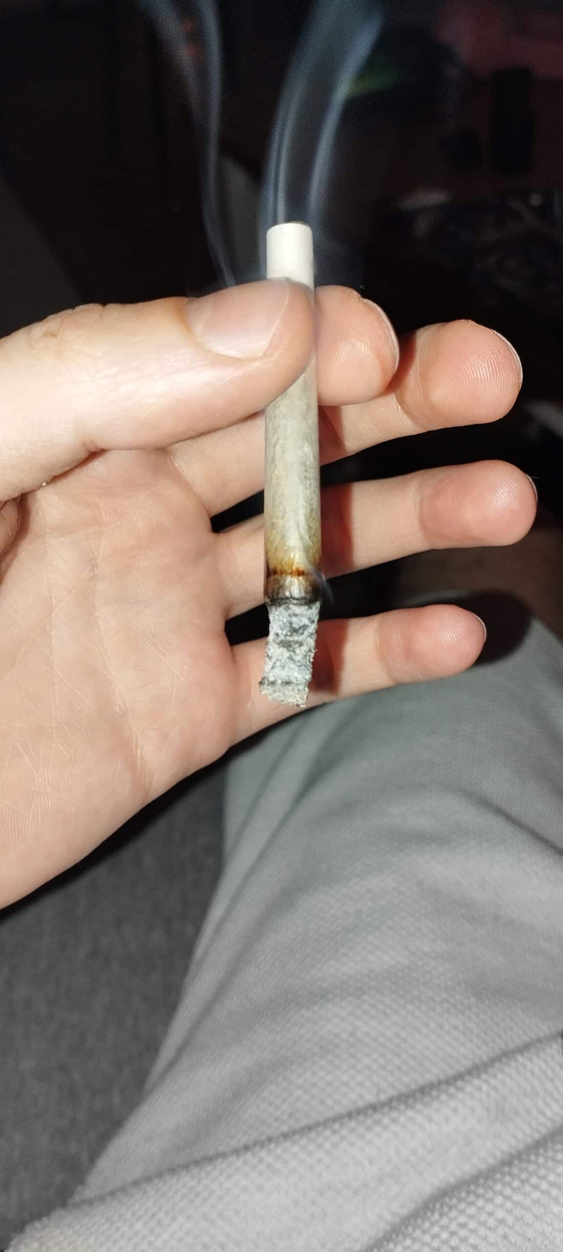 בלושי (Blueshi) – אינדיקה T22/C4