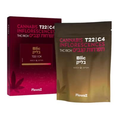 בליק (Blic) – אינדיקה T22/C4