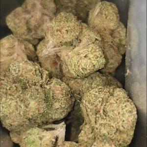 ג'.ו.נ.י #1 (J‎.‎O‎.‎N‎.‎Y‎ ‎#‎1‎) – אינדיקה T22/C4