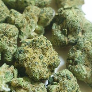 ג'.ו.נ.י #2 (J‎.‎O‎.‎N‎.‎Y‎ ‎#‎2‎) – אינדיקה T22/C4