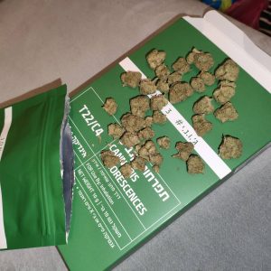 ג'.ו.נ.י #3 (J‎.‎O‎.‎N‎.‎Y‎ ‎#‎3‎) – אינדיקה T22/C4