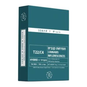 ג'.ו.נ.י #7 (J‎.‎O‎.‎N‎.‎Y‎ ‎#‎7) – היבריד T22/C4