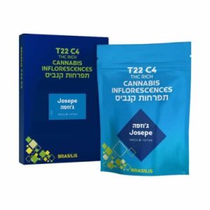 ג'וזפה (Josepe) – אינדיקה T22/C4