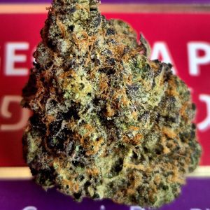 ג'ורג'יה פי (Georgia Pi) – אינדיקה T22/C4