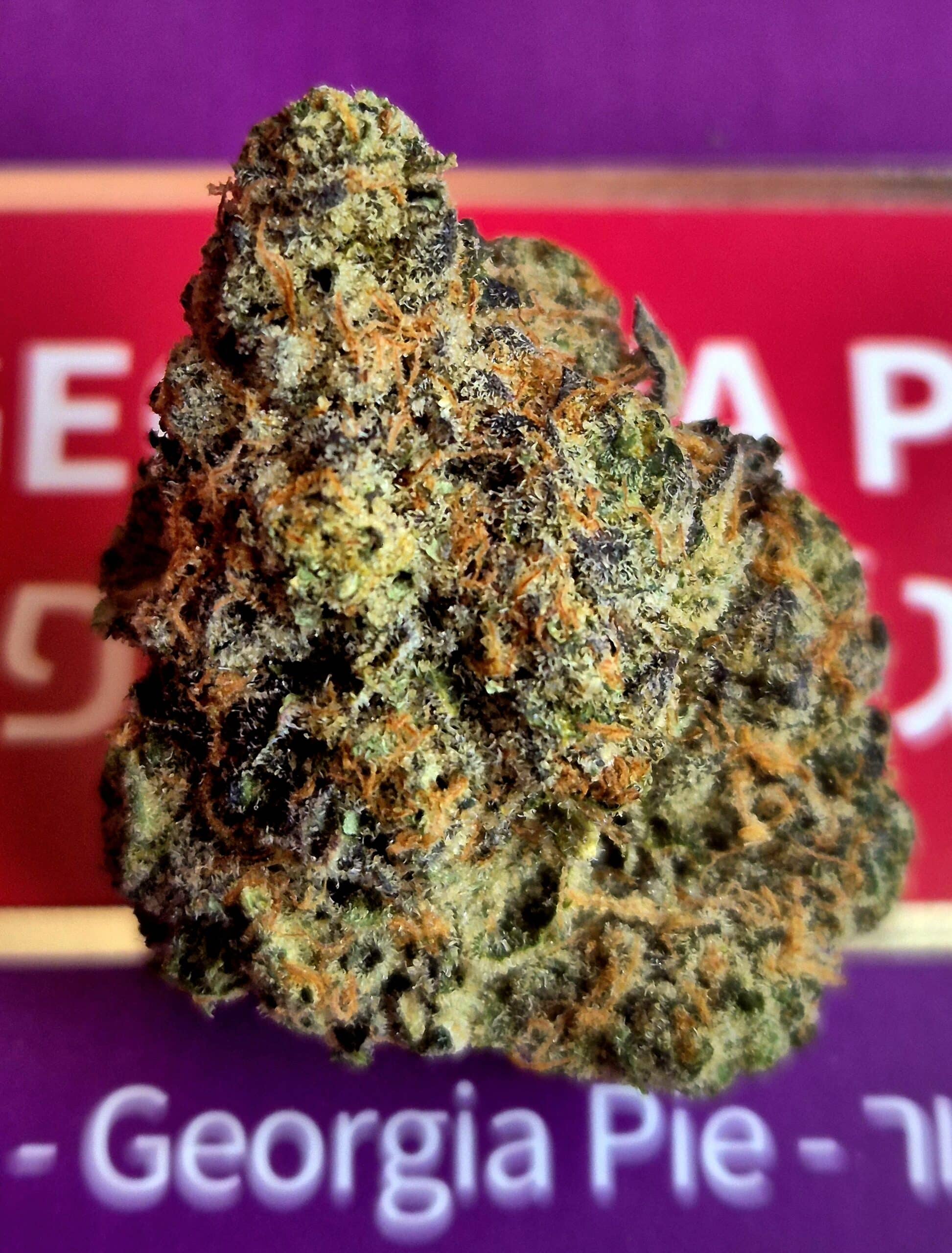 ג'ורג'יה פי (Georgia Pi) – אינדיקה T22/C4