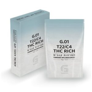 ג'י.01 (G.01) – אינדיקה T22/C4