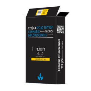 ג'י.אל.די (G.L.D) – היבריד T22/C4