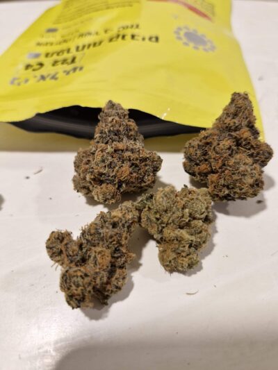 ג'י.אל.טי (G.L.T) – אינדיקה T22/C4