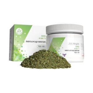 ג'י אם או (GMO) תפרחת גרוסה – אינדיקה T22/C4