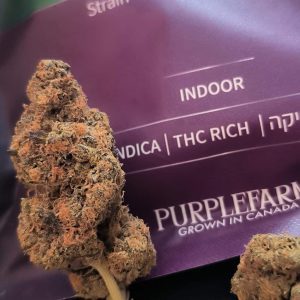 ג'י.אם.או.אס (GMO.S) – אינדיקה T22/C4