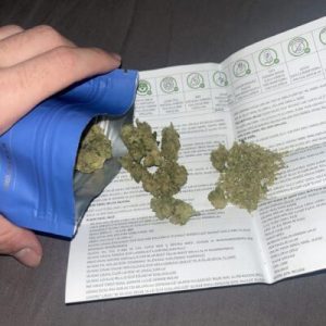 ג'י אם הייז מיני (GM Haze Mini) – סאטיבה T22/C4