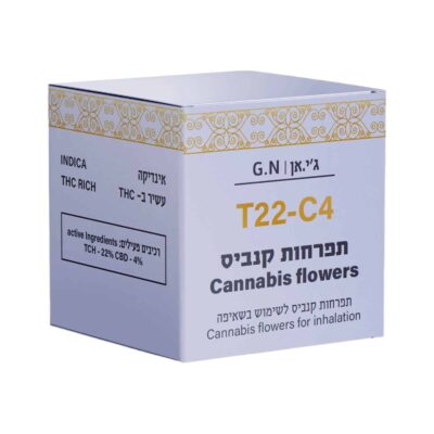 ג'י.אן (G.N) – אינדיקה T22/C4