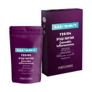 ג'י אס אר (GSR) – היבריד T22/C4