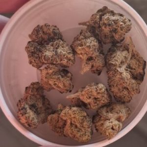 ג'י אס אר סמול (GSR Small) – היבריד T22/C4