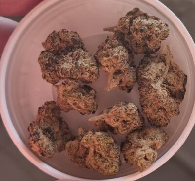 ג'י אס אר סמול (GSR Small) – היבריד T22/C4