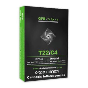 ג'י אף בי (GFB) – היבריד T22/C4