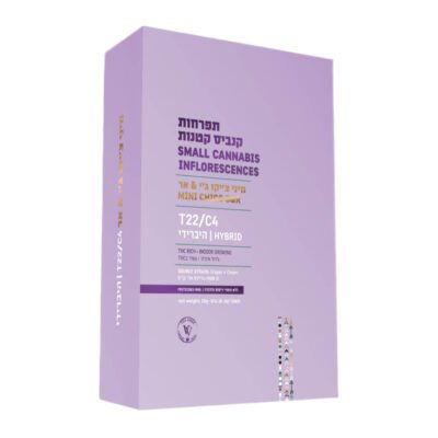 ג'י & אר צ'יקו מיני (G&R Chico Mini) – היבריד T22/C4