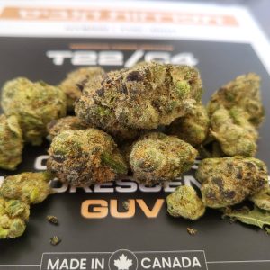 ג'י.יו.וי (GUV) – היבריד T22/C4