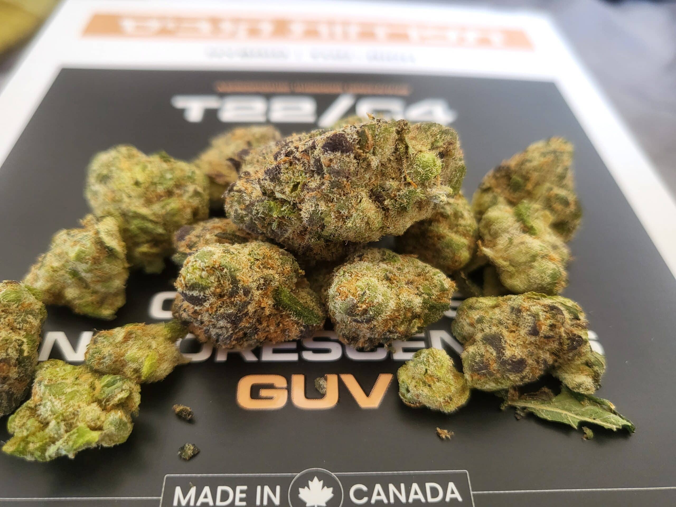 ג'י.יו.וי (GUV) – היבריד T22/C4