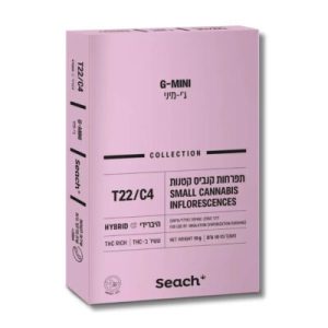 ג'י מיני (G Mini) – היבריד T22/C4