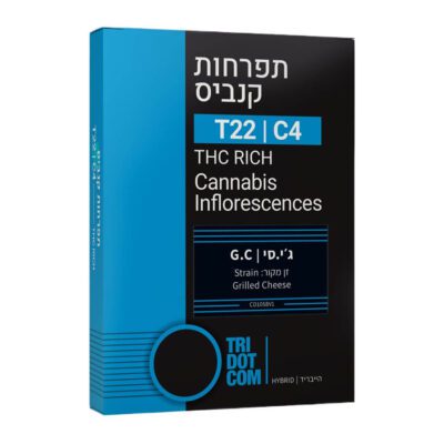 ג'י.סי (G.C) – היבריד T22/C4