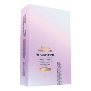 ג'י פי צ'יקו מיני (GP Chico Mini) – היבריד T22/C4