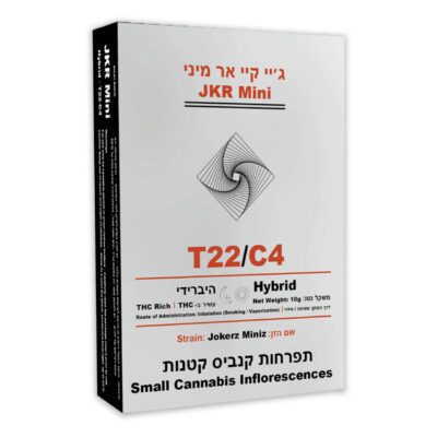 ג'יי.קיי.אר מיני (JKR Mini) – היבריד T22/C4