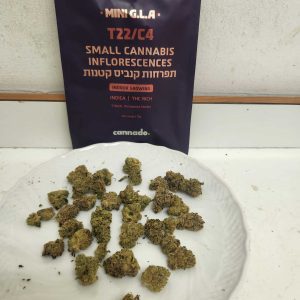 ג.ל.ה מיני (G.L.A Mini) – אינדיקה T22/C4