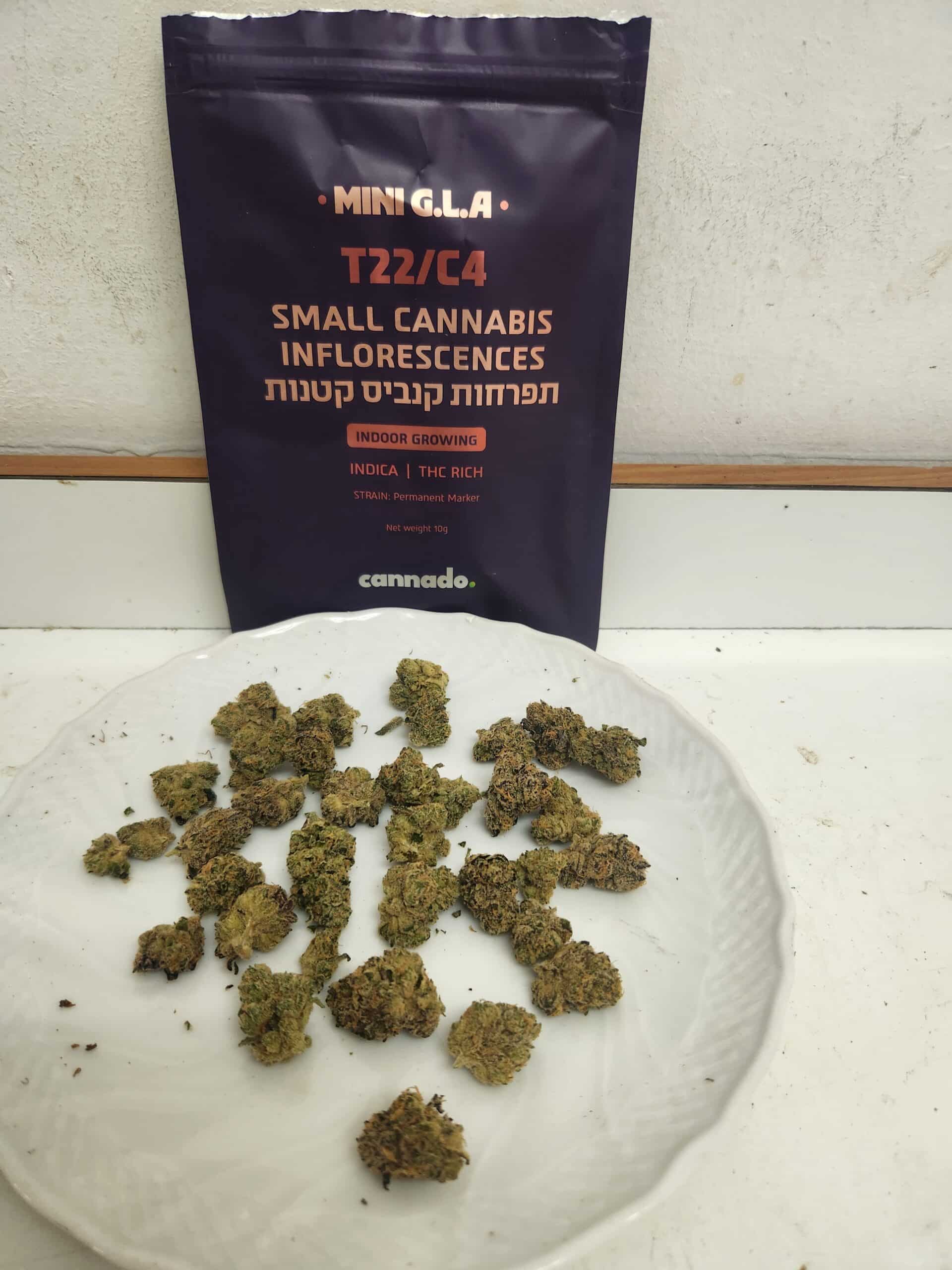 ג.ל.ה מיני (G.L.A Mini) – אינדיקה T22/C4