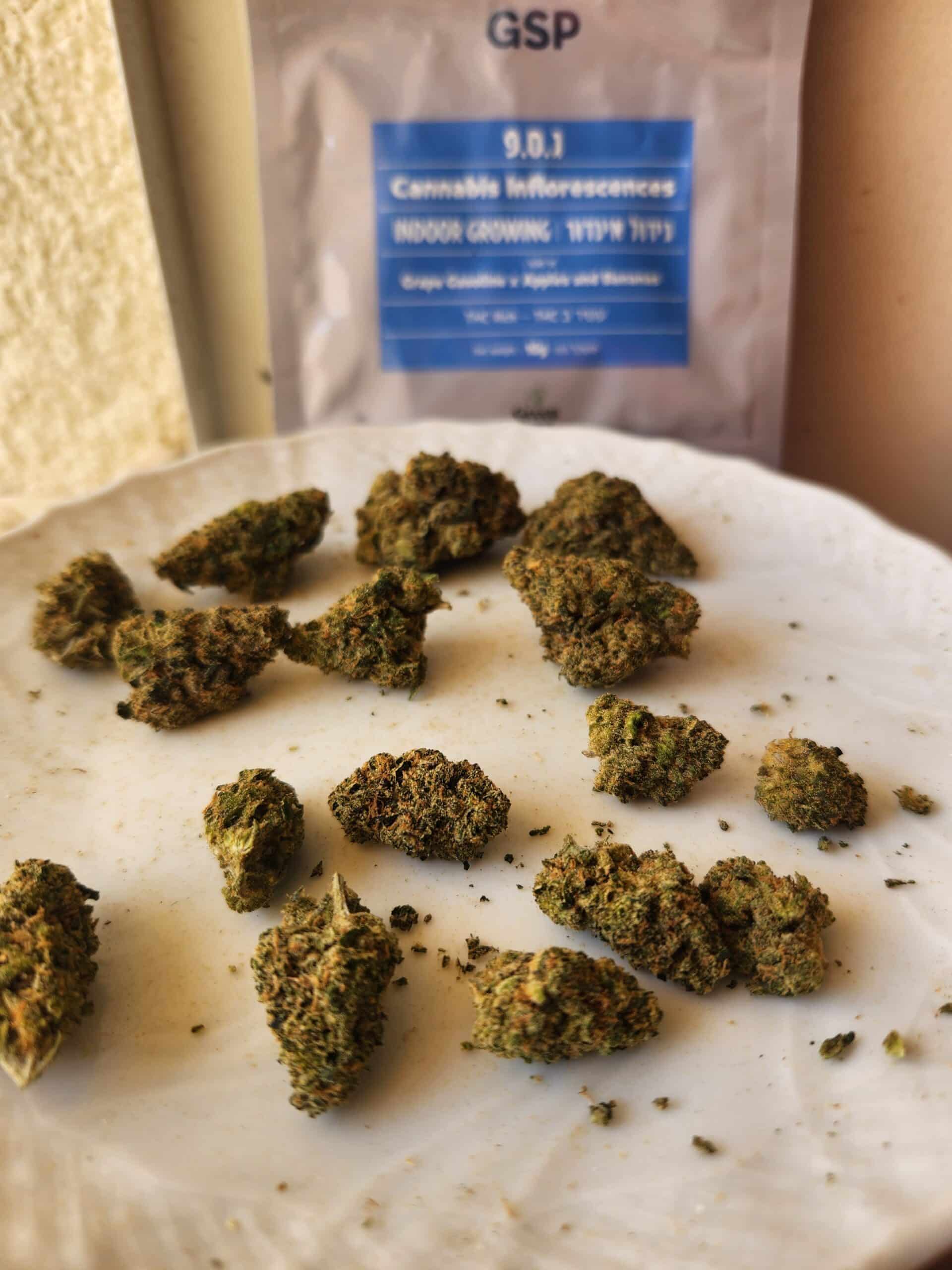 ג.ס.פ (GSP) – היבריד T22/C4