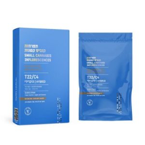 ג.ס.פ צ'יקו מיני (GSP Chico Mini) – היבריד T22/C4