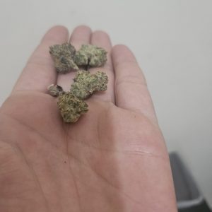 גובה בובה מיני (Guva Boba Mini) – היבריד T22/C4