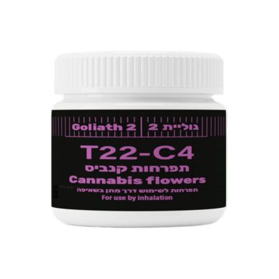 גוליית 2 מיני (Goliath 2 Mini) – אינדיקה T22/C4